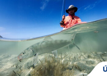 fishing in cuba